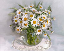 Без бренда «2KMA-0021» в Сочи