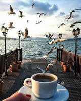 Без бренда «2KMB-1952» в Сочи