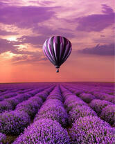 Без бренда «2KMB-4091» в Сочи