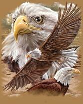 Без бренда «2KMB-4315» в Сочи