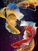 Без бренда «Желтая и красная рыбки» в Сочи