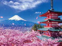 Без бренда «2KSB-7277» в Сочи