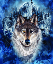 Без бренда «2KXSB-0687» в Сочи