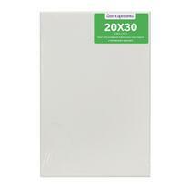 Без бренда «Коробка 80 шт.: Холст Две картинки на подрамнике 20X30» в Сочи