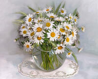 Без бренда «BOX20-2KMA-0021» в Сочи