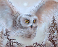 Без бренда «Полярная сова над лесом (20шт)» в Сочи