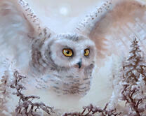 Без бренда «Полярная сова над лесом (20шт)» в Сочи