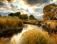 Без бренда «BOX25-GX29355» в Сочи