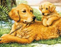 Мама собачка и ее щенок