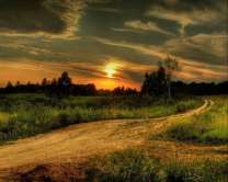 Без бренда «Проселочная дорога на закате» в Сочи