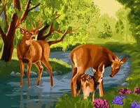 Картина по номерам «Молодые олени на водопое»