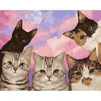 Без бренда «Такие разные котики» в Сочи в интернет-магазине  Без бренда «Такие разные котики» в Сочи
