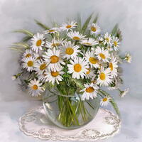 Без бренда «Букет свежих ромашек» в Сочи