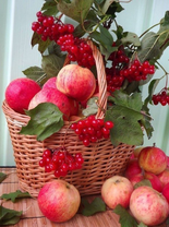 Без бренда «Коробка 25 шт. картин по номерам BOX25-GX5174» в Сочи в интернет-магазине  Без бренда «Коробка 25 шт. картин по номерам BOX25-GX5174» в Сочи