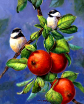 Без бренда «Две синички на яблоках» в Сочи в интернет-магазине  Без бренда «Две синички на яблоках» в Сочи