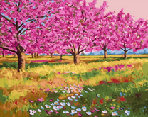 Цветущие сакуры