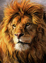 Большой умный лев
