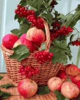 Без бренда «Плетёная корзина с калиной и яблоками» в Сочи