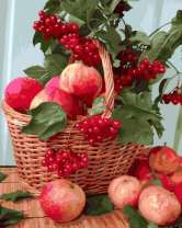 Без бренда «Плетёная корзина с калиной и яблоками» в Сочи в интернет-магазине  Без бренда «Плетёная корзина с калиной и яблоками» в Сочи