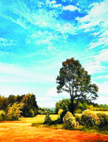 Без бренда «Осенний пейзаж с голубым небом» в Сочи в интернет-магазине  Без бренда «Осенний пейзаж с голубым небом» в Сочи