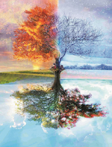 Пара у дерева с четырьмя временами года