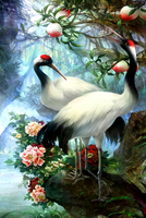 Без бренда «Коробка 25 шт. картин по номерам BOX25-GX29399» в Сочи в интернет-магазине  Без бренда «Коробка 25 шт. картин по номерам BOX25-GX29399» в Сочи