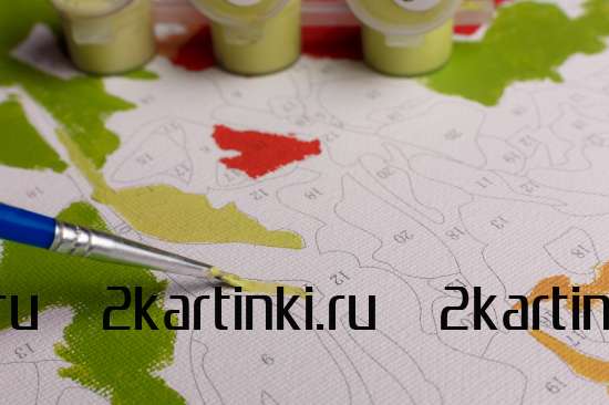 Картина по номерам 40x50 BOX25-GX21599 BOX25-GX21599 за 9900 руб.  в интернет-магазине  Картина по номерам 40x50 BOX25-GX21599