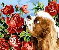 Пикинес и цветущие розы