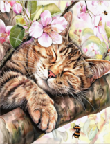 Без бренда «Волосатый котик спит на ветви яблони» в Сочи