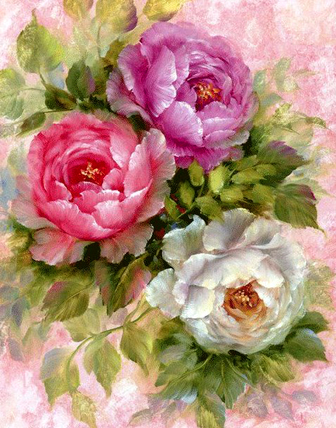 Картина по номерам 40x50 Красная, белая и фиолетовая розы